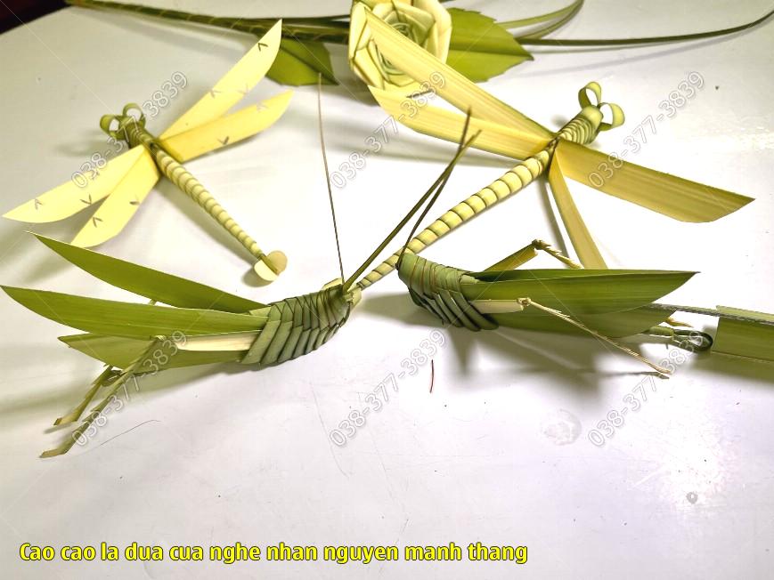 Mẫu cào cào lá dừa đẹp