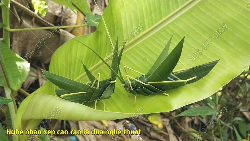 Nghe nhan xep cao cao la dua nghe thuat