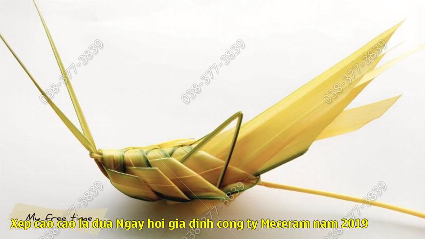 Xep cao cao la dua – Ngay hoi gia dinh cong ty Meceram nam 2019