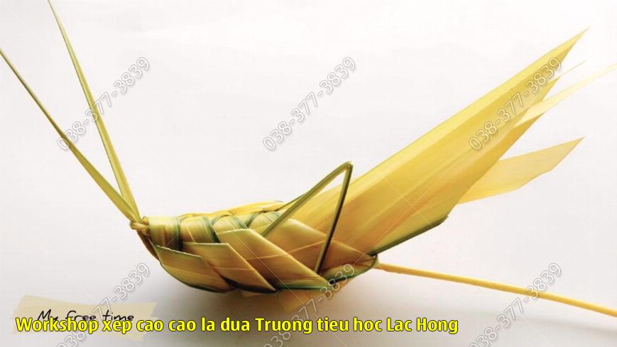 3. Xep cao cao la dua nghe thuat số 3.