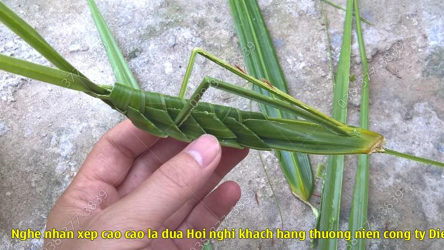 Nghe nhan xep cao cao la dua – Hoi nghi khach hang thuong nien cong ty Diem Nguyen nam 2015